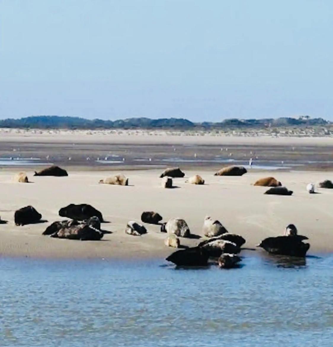 Le Chant De La Riviere แอบบ์วิลล์ ภายนอก รูปภาพ